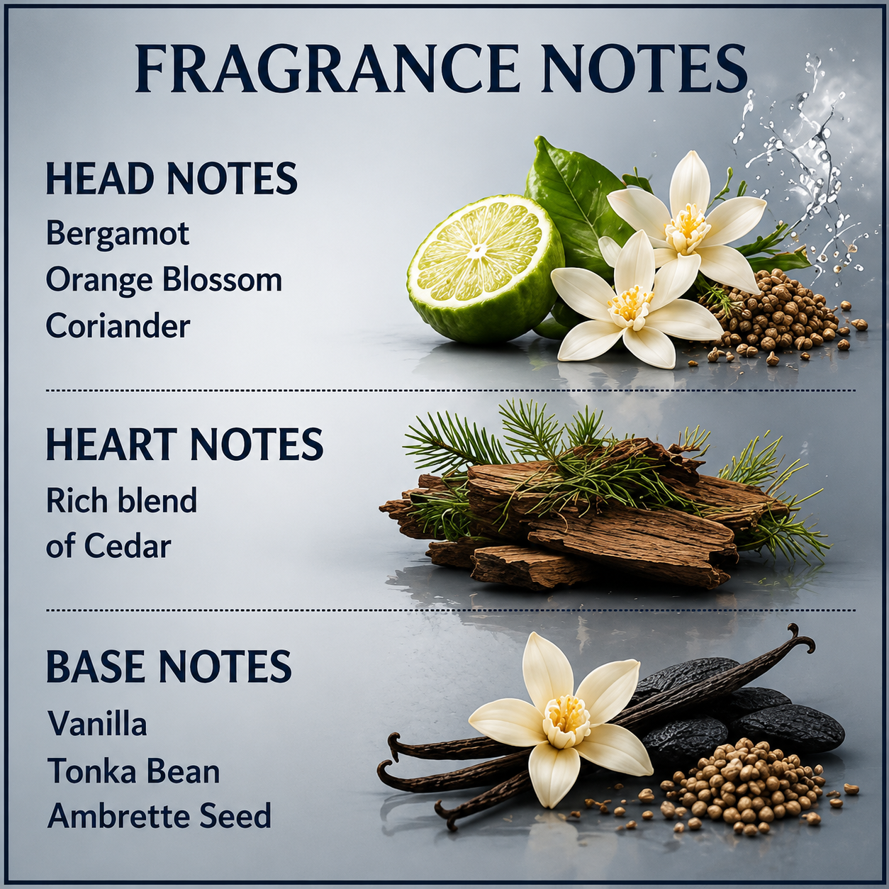 Chemist Fragrance 204