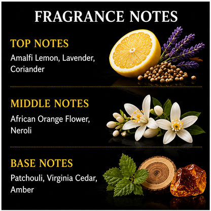 Chemist Fragrance 330