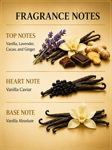 Chemist Fragrance 10