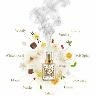 Chemist Fragrance 156